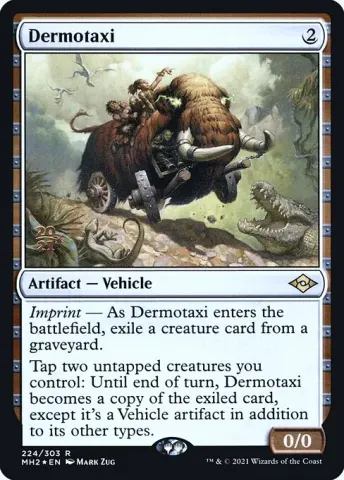 Dermotaxi · 224s