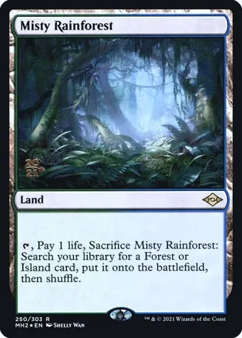 Misty Rainforest · 250s