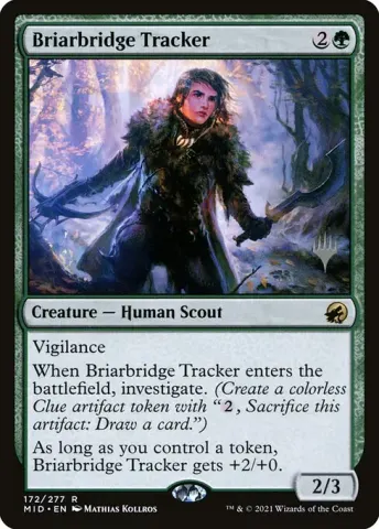 Briarbridge Tracker · 172p