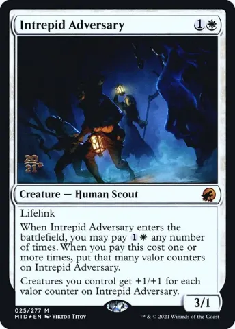 Intrepid Adversary · 25s