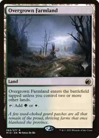 Overgrown Farmland · 265p