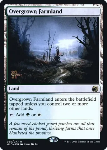 Overgrown Farmland · 265s