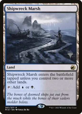 Shipwreck Marsh · 267p