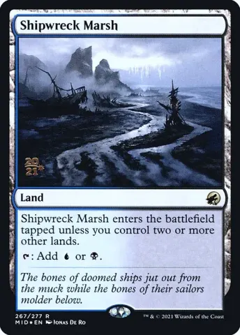 Shipwreck Marsh · 267s