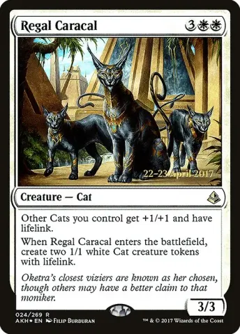 Regal Caracal · 24s