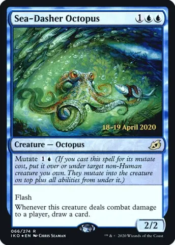 Sea-Dasher Octopus · 66s