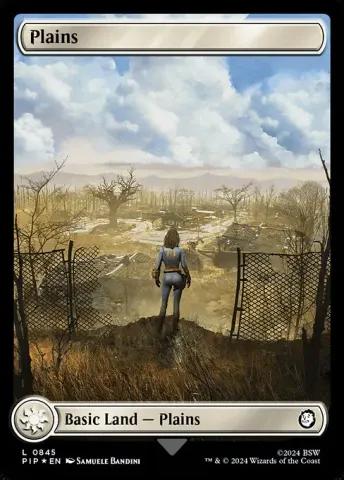 Plains · 845