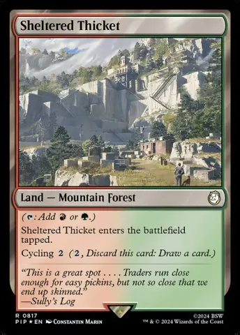 Sheltered Thicket · 817