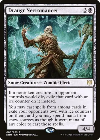 Draugr Necromancer · 86p