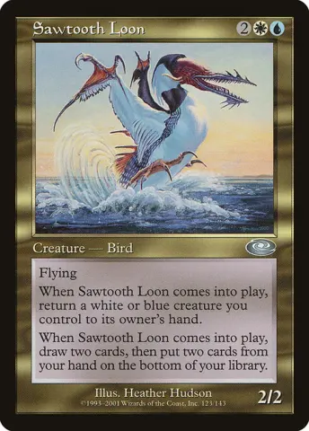 Sawtooth Loon · 123