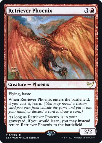 Retriever Phoenix · 113s