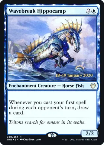 Wavebreak Hippocamp · 80s
