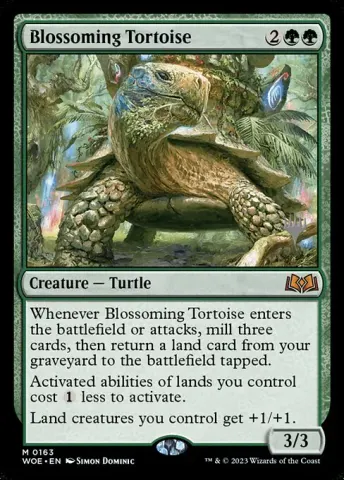 Blossoming Tortoise · 163p