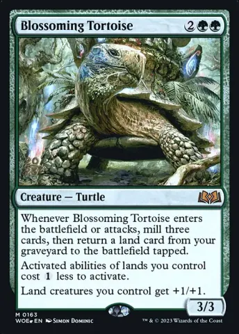 Blossoming Tortoise · 163s