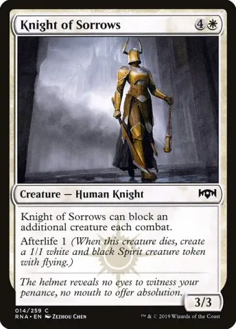 Knight of Sorrows · 14