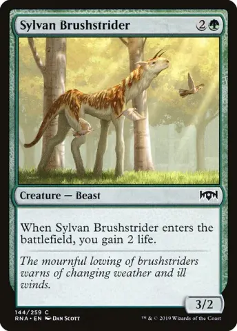 Sylvan Brushstrider · 144