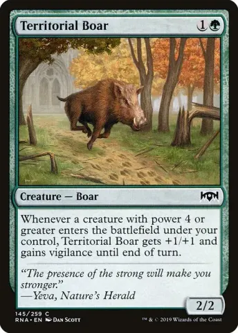 Territorial Boar · 145