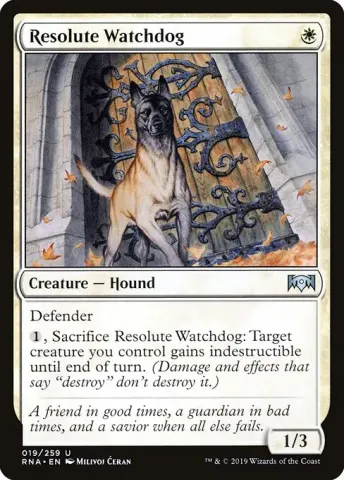 Resolute Watchdog · 19