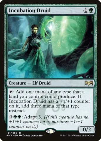 Incubation Druid · 131