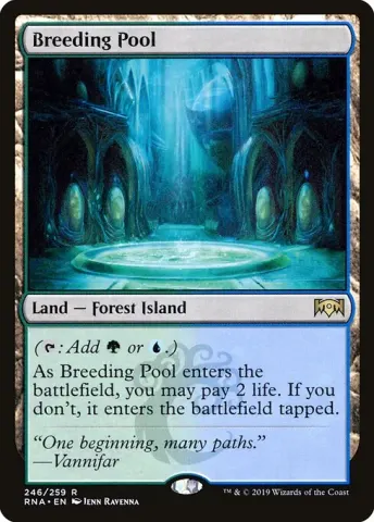 Breeding Pool · 246