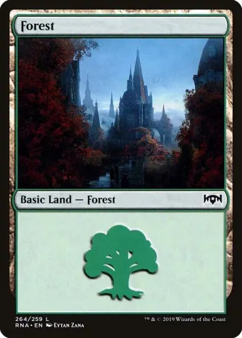Forest · 264