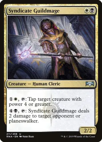 Syndicate Guildmage · 211
