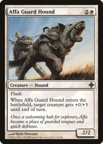 Affa Guard Hound · 14
