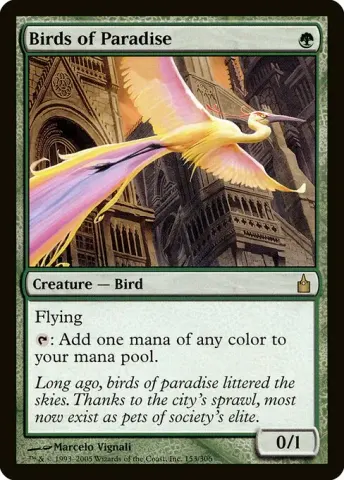 Birds of Paradise · 153
