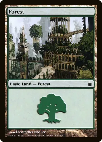 Forest · 304