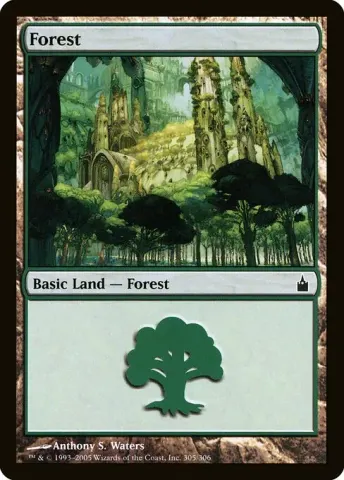 Forest · 305