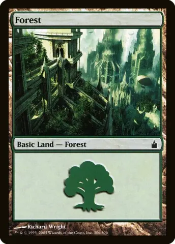 Forest · 306