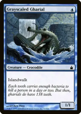 Grayscaled Gharial · 52