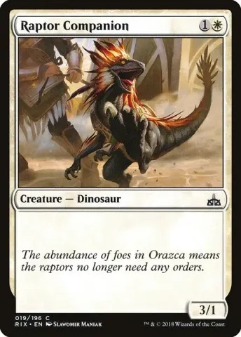 Raptor Companion · 19