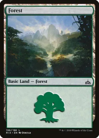 Forest · 196