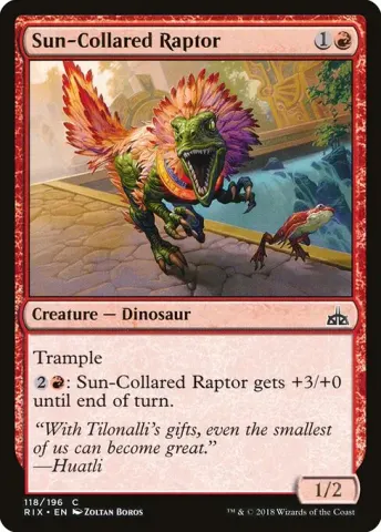 Sun-Collared Raptor · 118