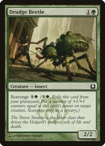 Drudge Beetle · 122