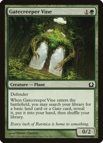 Gatecreeper Vine · 124