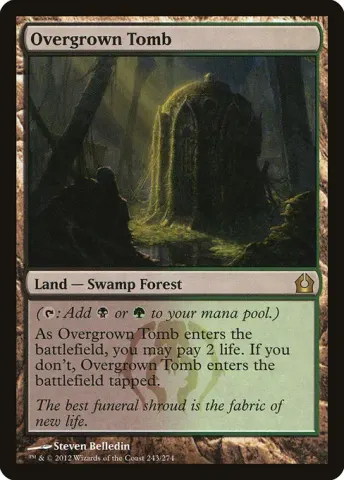 Overgrown Tomb · 243