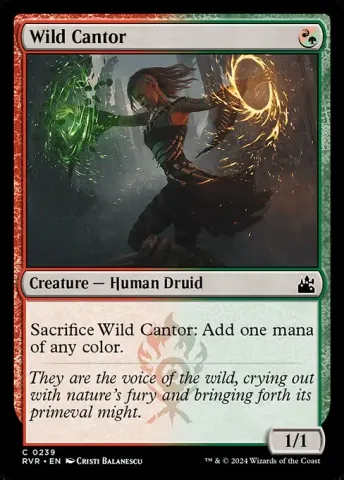Wild Cantor · 239