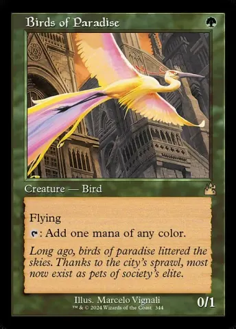 Birds of Paradise · 344