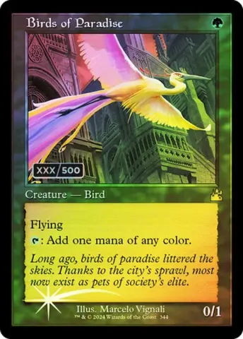 Birds of Paradise · 344z