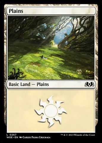 Plains · 267