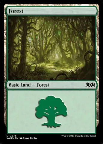 Forest · 275