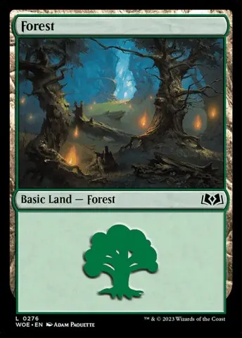 Forest · 276