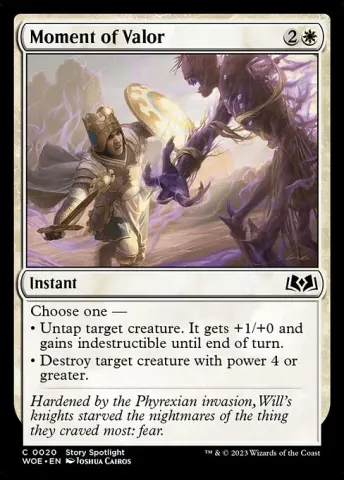 Moment of Valor · 20