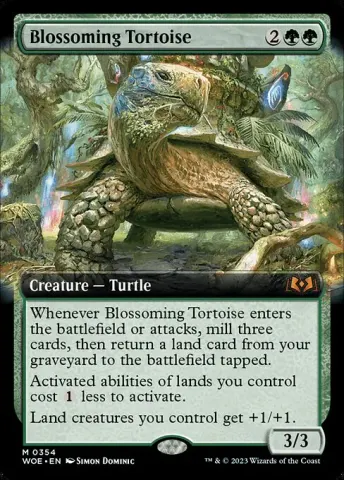 Blossoming Tortoise · 354