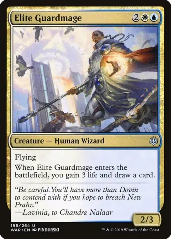 Elite Guardmage · 195