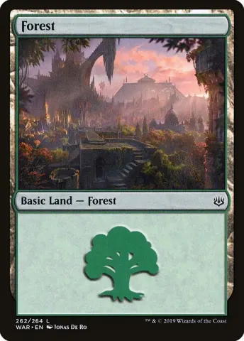 Forest · 262