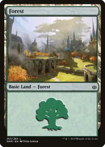 Forest · 263
