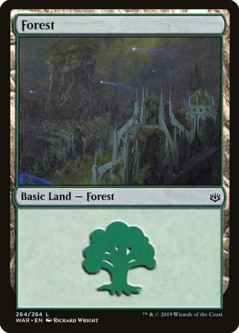 Forest · 264